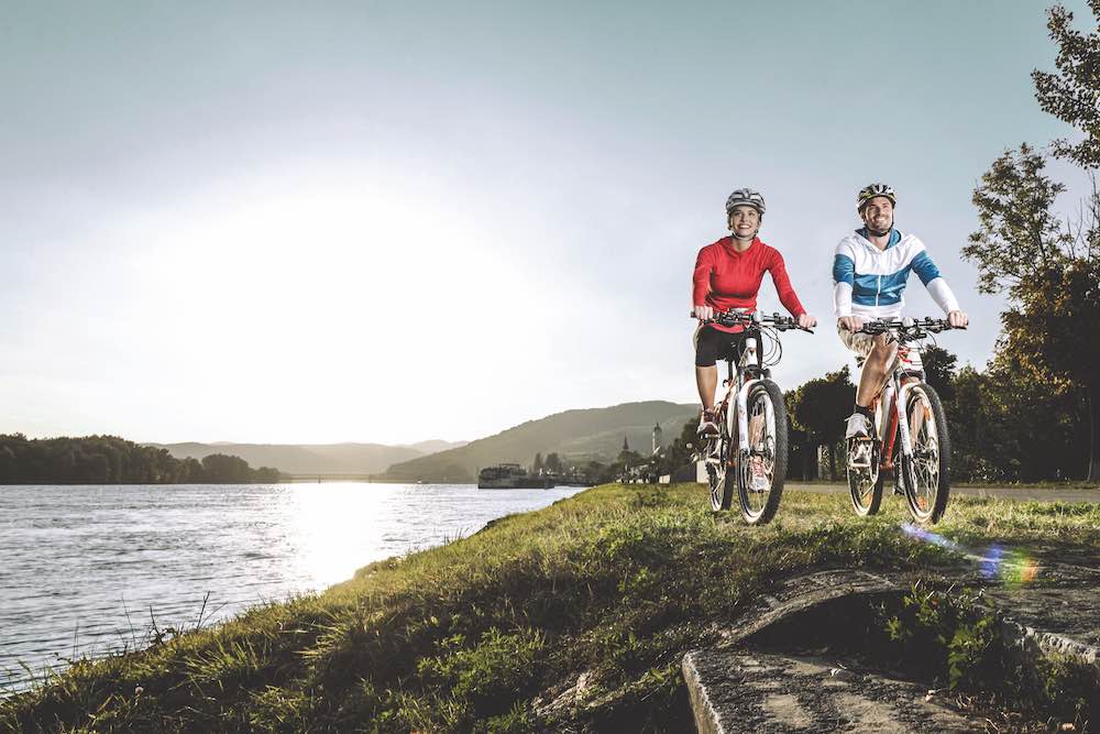 Donauradweg bei Krems