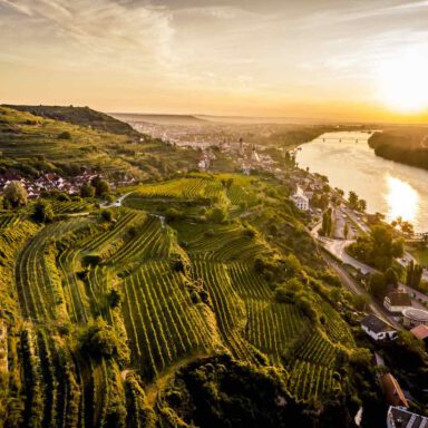 Blick von der Riede Altenburg in Richtung Krems-Stein.