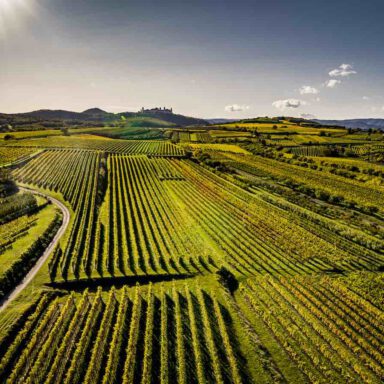 Die Riede Frauengrund in Paudorf
