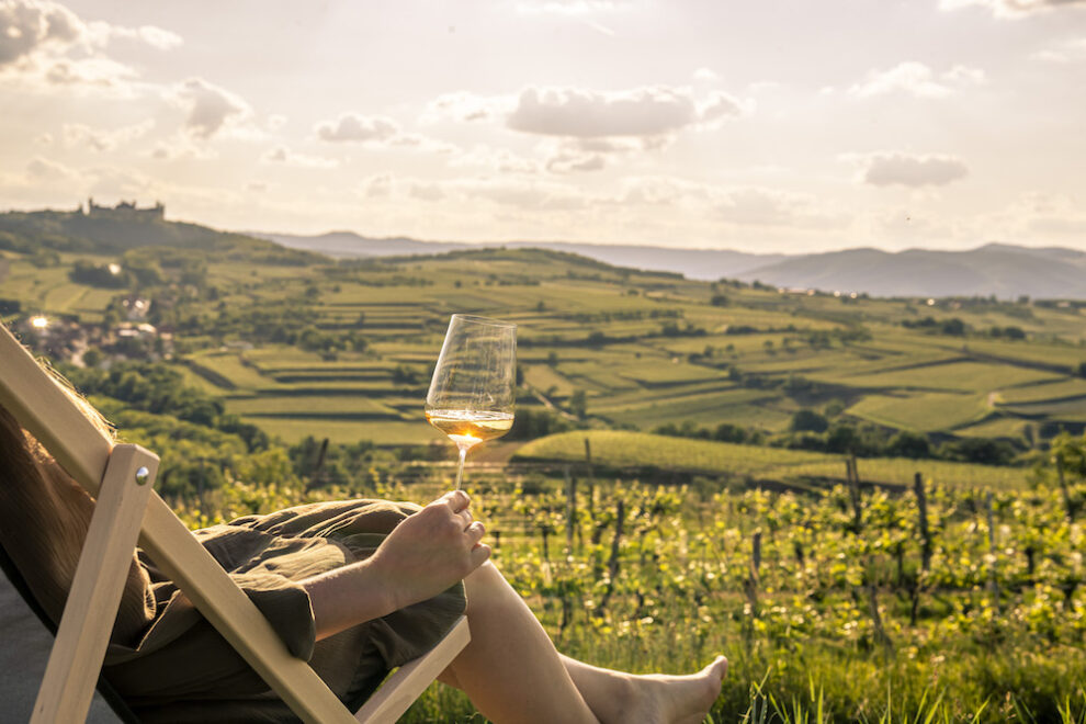Der Weinsommer im Kremstal Panorama ins Kremstal