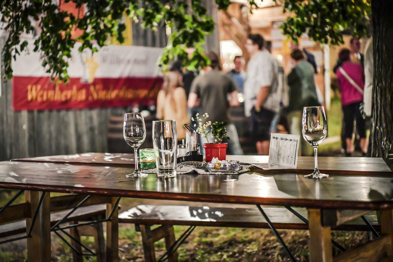 Weinherbst Kremstal (c) Robert Herbst