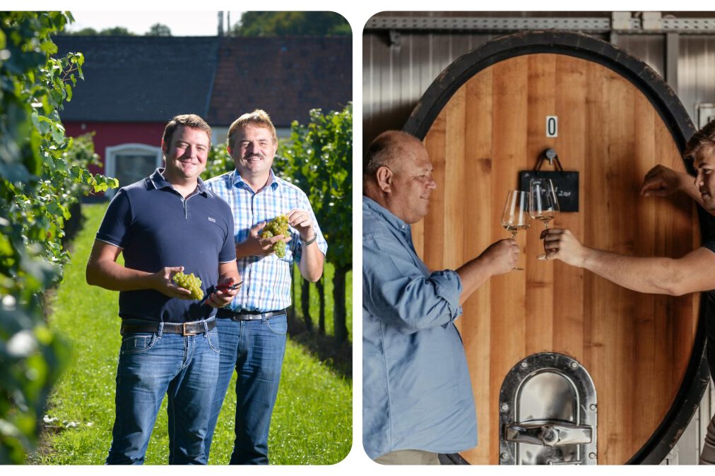 kremstal dac cup 25 klein