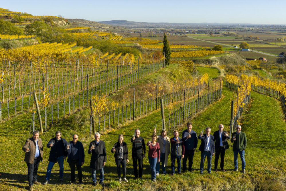 Drohnenaufnahme einer Gruppe von Menschen